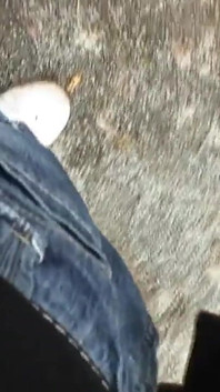 Brunette milf loves to suck a stranger's cock outdoors