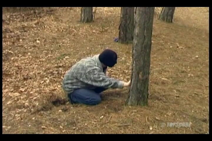 House of lords and mistresses in the spanking zone: Auf dem tisch, du schlampe