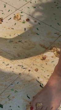 Tiramisu Feeding
