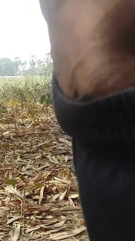 Forest Public Indian Boy and Handjob