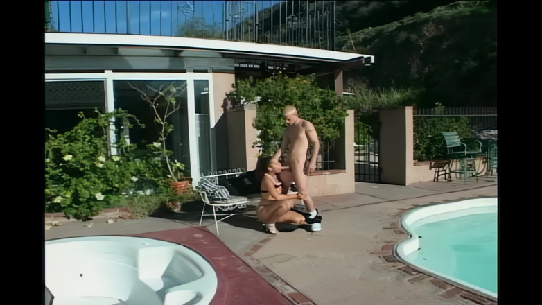 American beauty xxx: Shelby Das Verdammte Biest