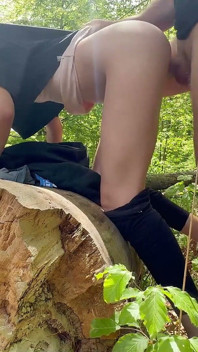 Forest Sex