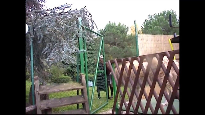 The Swingers & CO.: Zřícenina Lesvic (film)