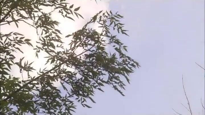 CBD Media: Belle donne bionde con grandi tette fanno del caldo sesso...