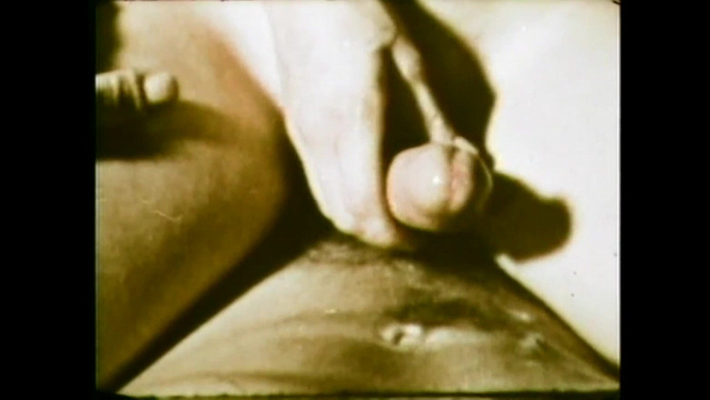 The Unforgettable: Zandy Der Wilde Liebhaber