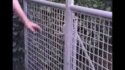 Bisco Birchwood Productions: Underbar läder dom gör som hon behagar för sina tjänare!