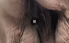 Ahşaptaki yaramaz hizmetçi yakın çekim en çok işiyor