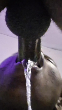 Perfekter blowjob