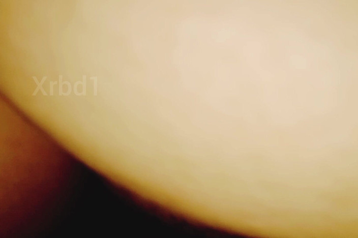 Xrbd1: 已婚生活变得多姿多彩，充满了笑和快乐，充满了爱。