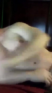 Sexy hunk spelen