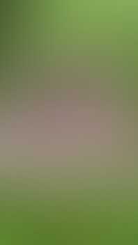 Big Daddy Pounded My Pussy so Hard in Outdoor