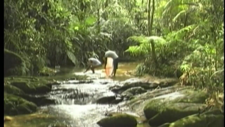 Boys boyz: Jungle Anal Stretch - Mature Studs Pounding Deep