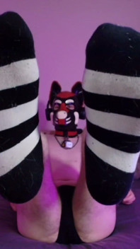 Bare Pup Paws Right in Your Face