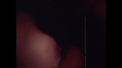 Vintage megastore: Andrea True the Cock Suckers