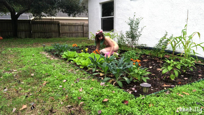 kactus kutie: Kitty Kums在羽衣甘蓝