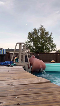 Squirtgun