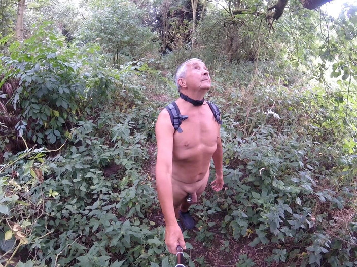 Andy: Yürüyüş 50 2025