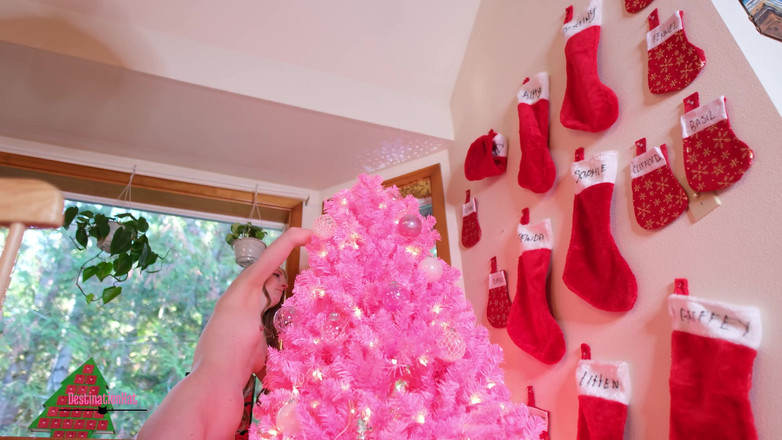 Destination Kat: Zdobení na Vánoce 2023