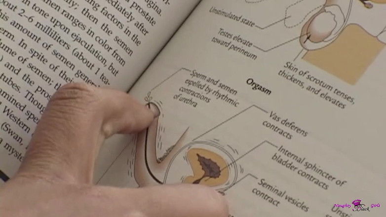 Naughty Black Girls: Studious adicktion用成人玩具道具和大黑辅导为人体解剖测试做准备。