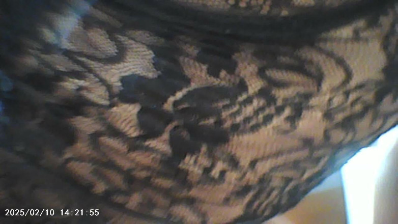 anakanakami: 把它贴在玻璃门上并啪