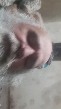 I Came Away My Macro-thick Penis