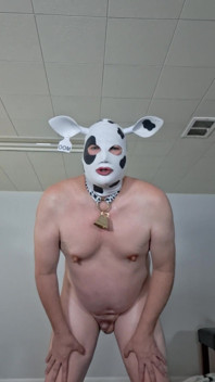 I Need Someone to Milk My Udders