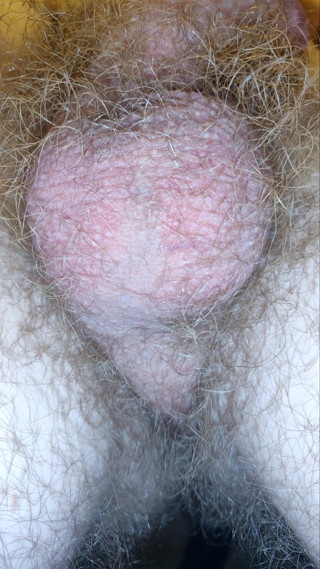 AssHungry4Cock: Palle ipnotizzanti che producono sborra