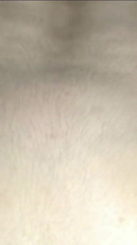 3069772
