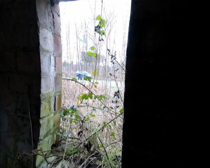 Andy: Strip voor een naakte wandeling