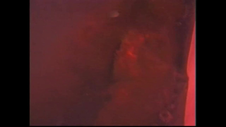 Vintage megastore: La Sauna Delle Lesbiche