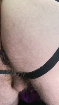 Behaartes Solo-assplay