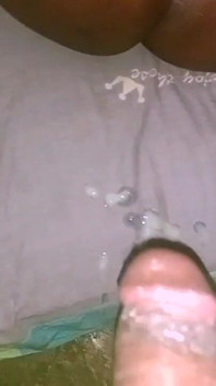 좁고 우유 같은 고양이