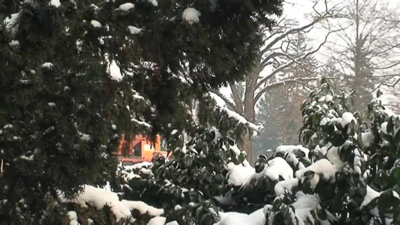 East Public: Exhibitionists have sex in the snow in front of passers-by...