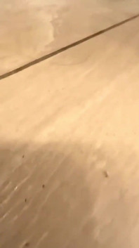 Perfect Body Babe with Gorgeous Tight Pussy Gets Fucked by a Big Dick While She's in the Kitchen