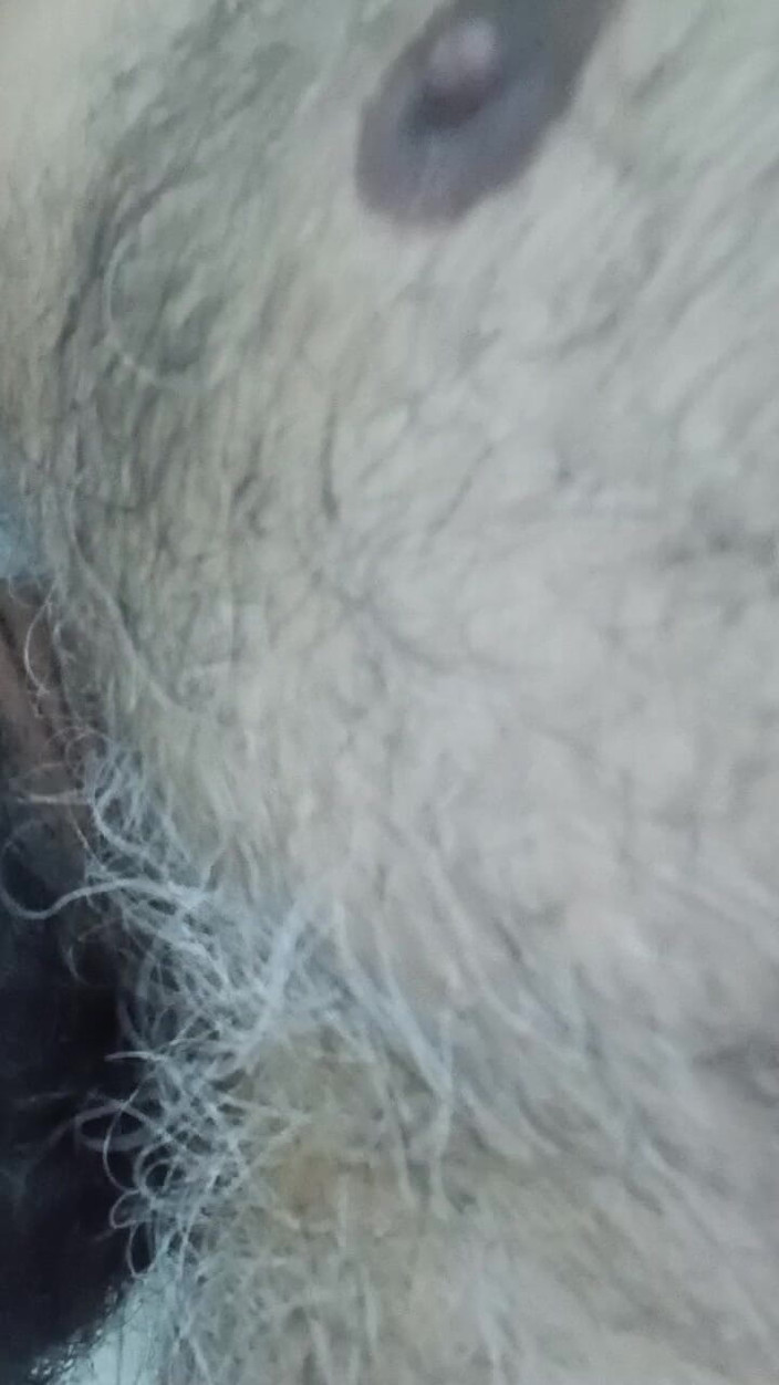 Daddy Dude: インドのパパがベッドに横たわり、あなたのためにからかい、ポーズをとっている