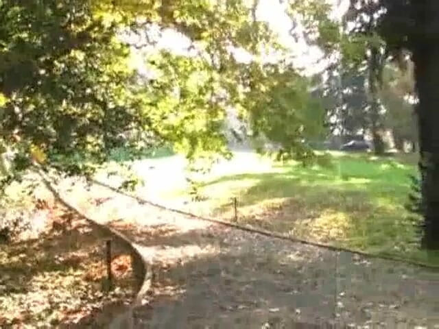 薇姬·維特: 经典的 Vicky Vette 大鸡巴挑逗在欧洲