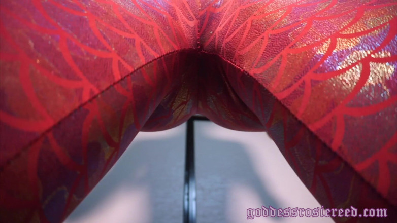 Rosie Reed: Pussy Denial: Pussy Drooling Loser for Life