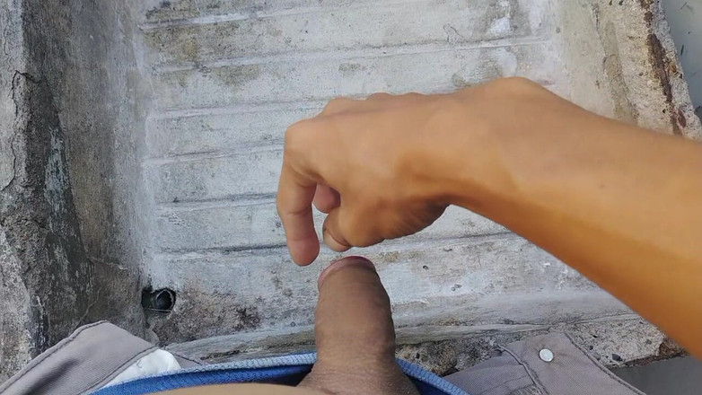 WolfGV: Una mattina per iniziare la giornata