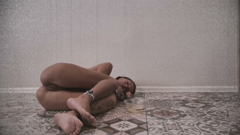 TenderRuin: Rekod Luar Makmal / Log Sesi 26