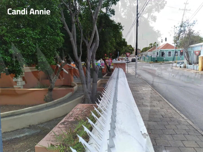 Candi Annie: ล่องเรือแคริบเบียนกับคุณยายเซ็กซี่ MILF แคนดี้ แอนนี่