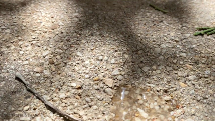 Projectsexdiary: Una rischiosa scopata all'aperto in un centro affollato
