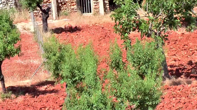 German Porn: 泳池边的金发女郎双洞齐插狂欢