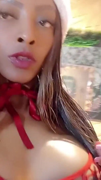 Tu bonito deseo de Navidad (ampliar)