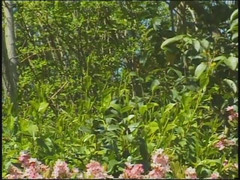 Hot Girlz: La fidanzata con grandi tette naturali viene leccata ed appassionata...