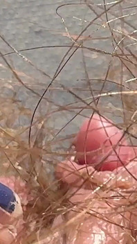 Amateur harig meisje masturbeert in close-up met enorme clit