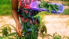 Judithxxx: Explorando meu campo em busca de prazer