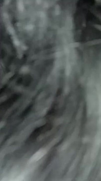 Indian Sexy Girl HD Hot 4K Videos Housewife