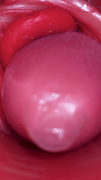 Inside a Camgirl Cervix POV Camera in Vagina with Big Dick Toy
