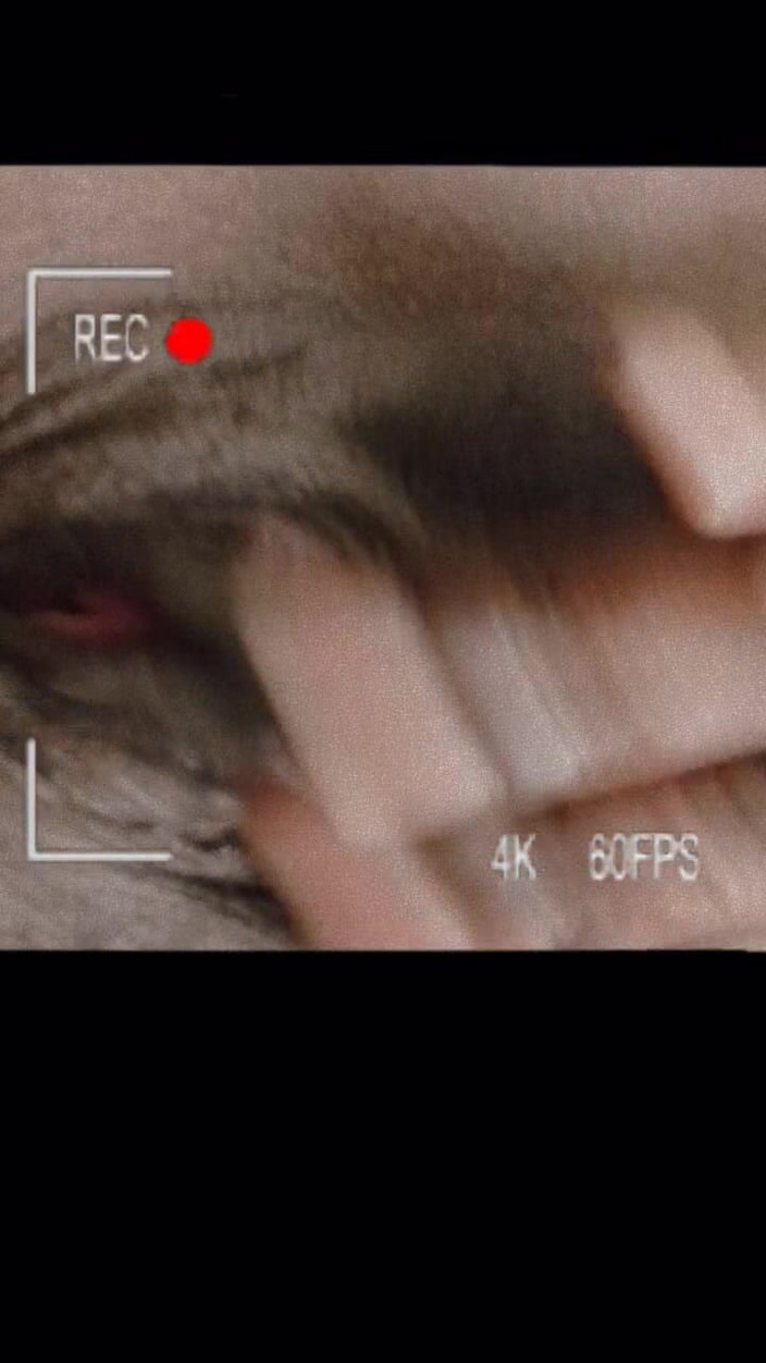 Mz Markqunna: マーククナのスペシャル