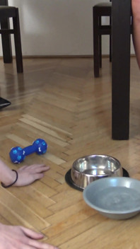 Slave Girl Lexi Feedong of Floor